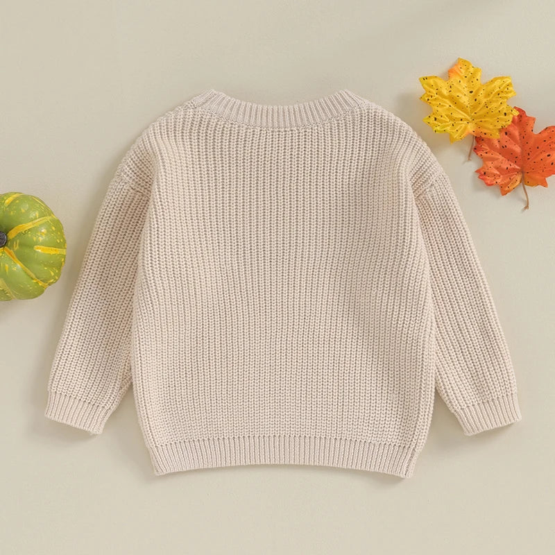 Halloween / Autumn Baby Long Sleeve Embroidered Pumpkin Knit Sweater