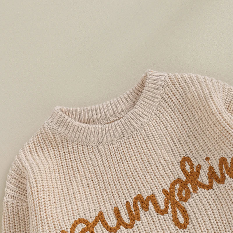 Halloween / Autumn Baby Long Sleeve Embroidered Pumpkin Knit Sweater